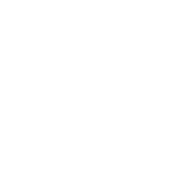 Thought Leadership Series